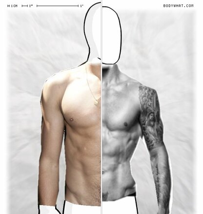 Torso Comparison