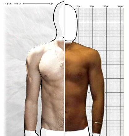 Torso Comparison