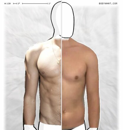 Torso Comparison