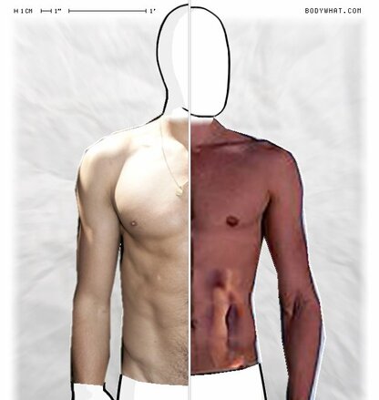 Torso Comparison