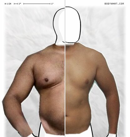 Torso Comparison