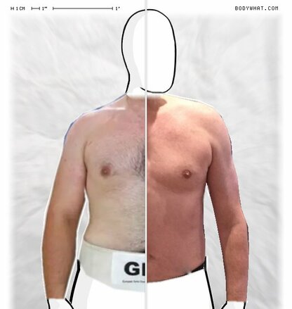 Torso Comparison