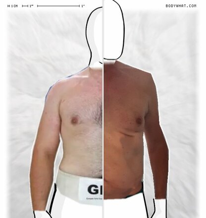 Torso Comparison