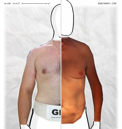 Torso Comparison