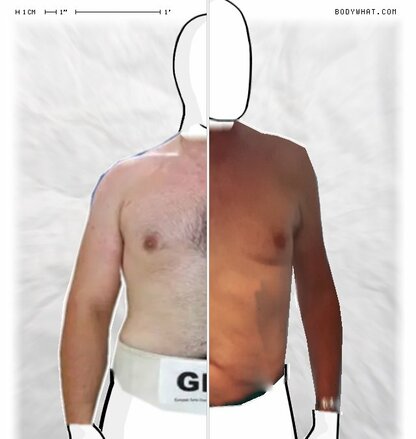 Torso Comparison