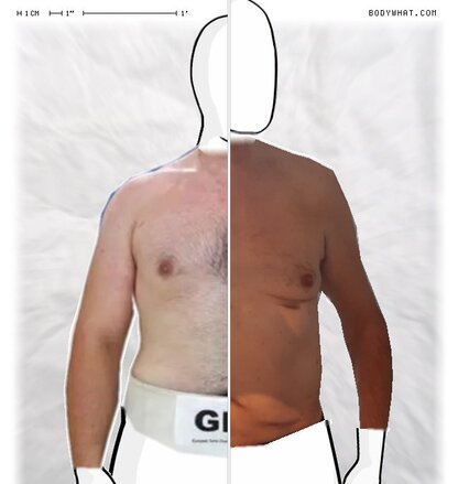 Torso Comparison