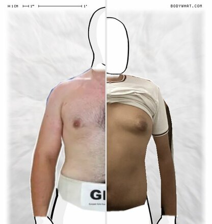 Torso Comparison