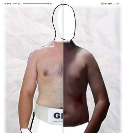 Torso Comparison