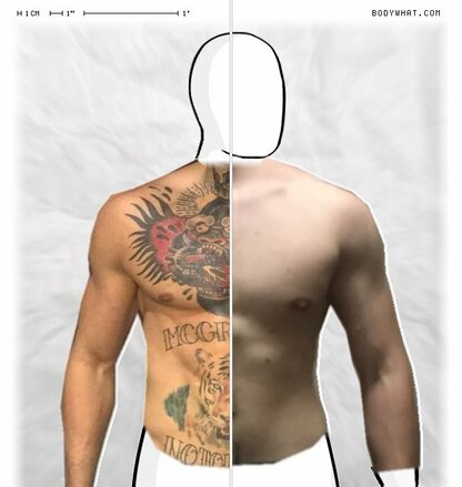 Torso Comparison