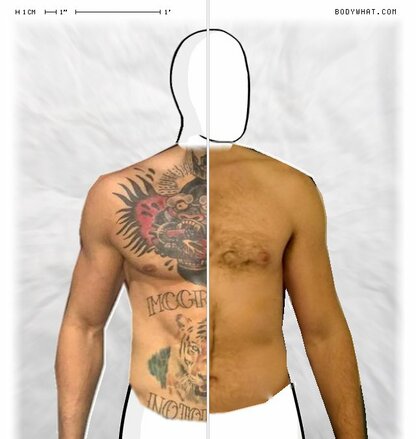 Torso Comparison