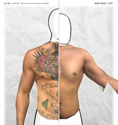 Torso Comparison