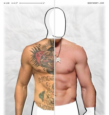 Torso Comparison