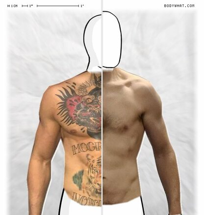 Torso Comparison