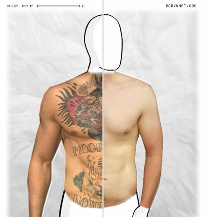 Torso Comparison