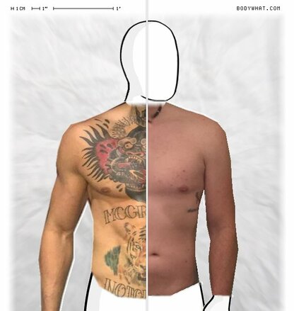 Torso Comparison