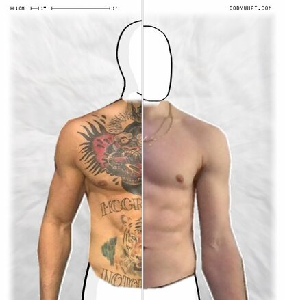 Torso Comparison