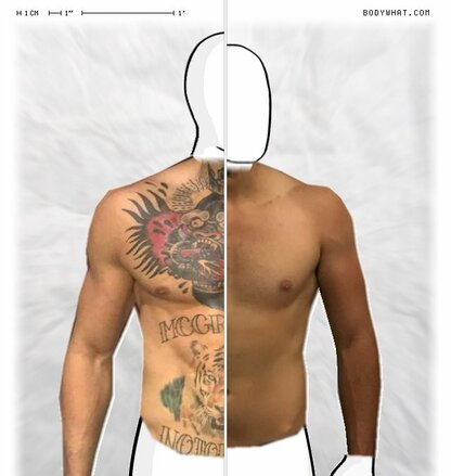 Torso Comparison