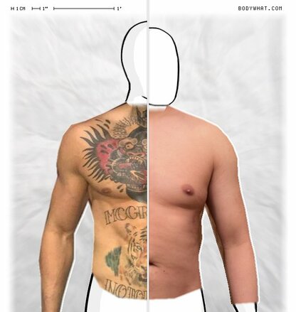 Torso Comparison