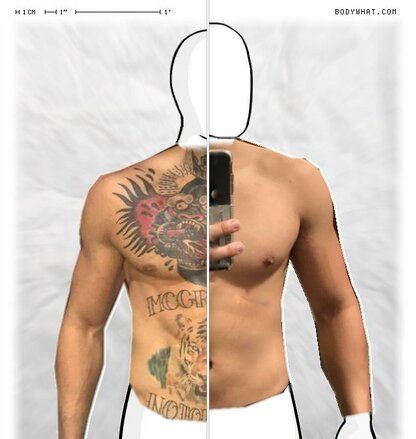 Torso Comparison