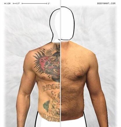 Torso Comparison