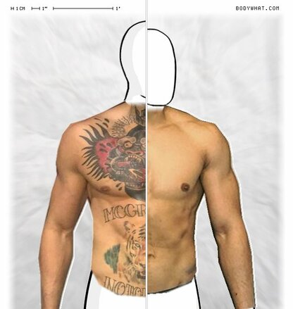 Torso Comparison