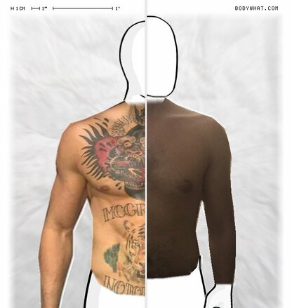 Torso Comparison