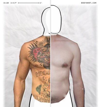 Torso Comparison