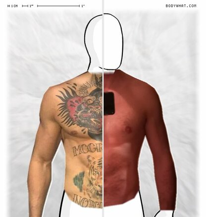 Torso Comparison