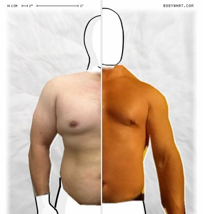 Torso Comparison