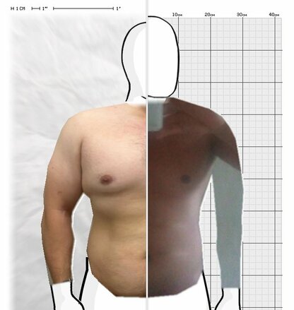 Torso Comparison
