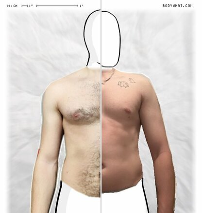 Torso Comparison