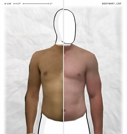 Torso Comparison