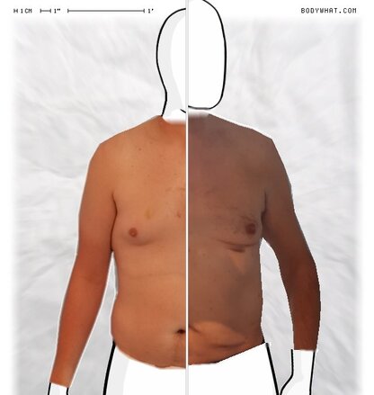 Torso Comparison