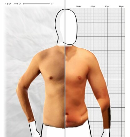 Torso Comparison