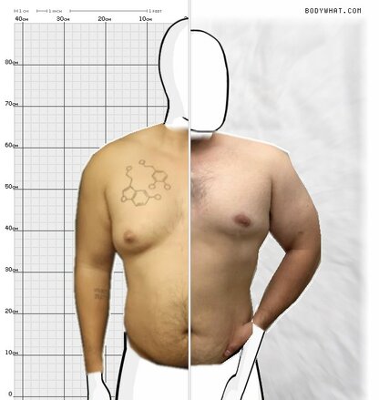 Torso Comparison