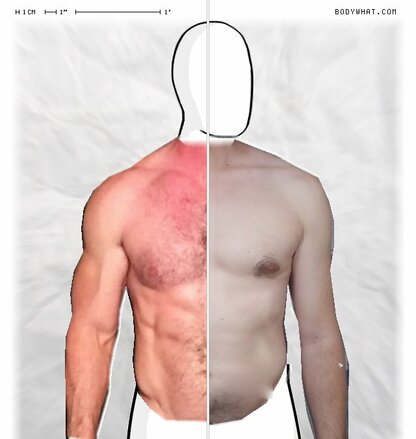Torso Comparison