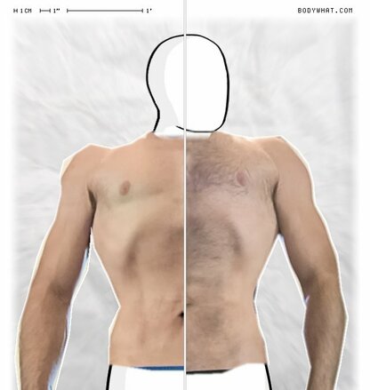 Torso Comparison