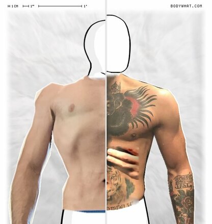 Torso Comparison