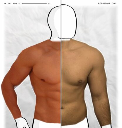 Torso Comparison