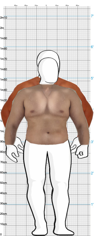 Full Size Comparison