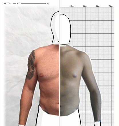 Torso Comparison