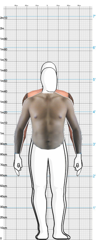 Full Size Comparison