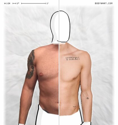 Torso Comparison