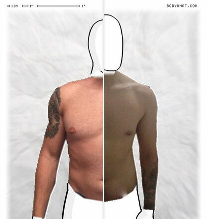 Torso Comparison