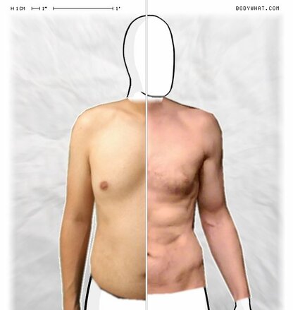 Torso Comparison