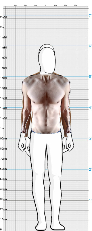 Full Size Comparison