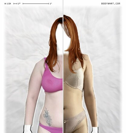 Torso Comparison