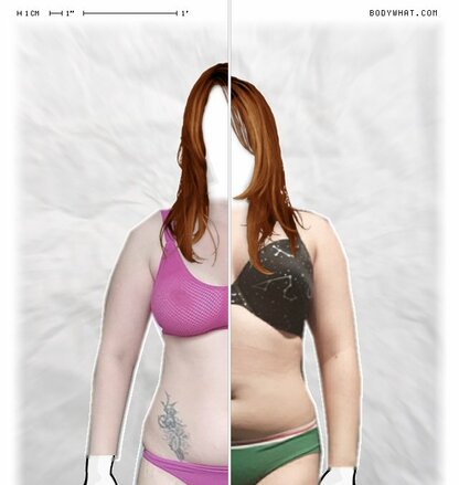 Torso Comparison