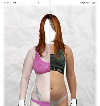 Torso Comparison