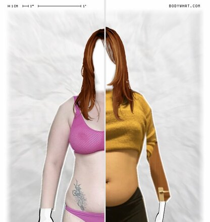 Torso Comparison